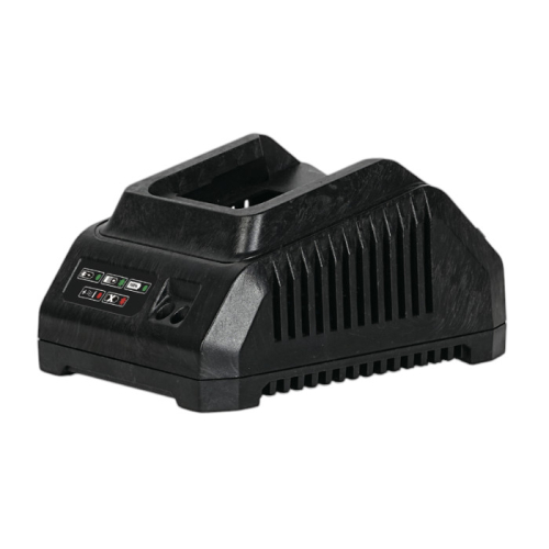 Блок питания для зарядки аккумуляторов DWT CSP202008XS 