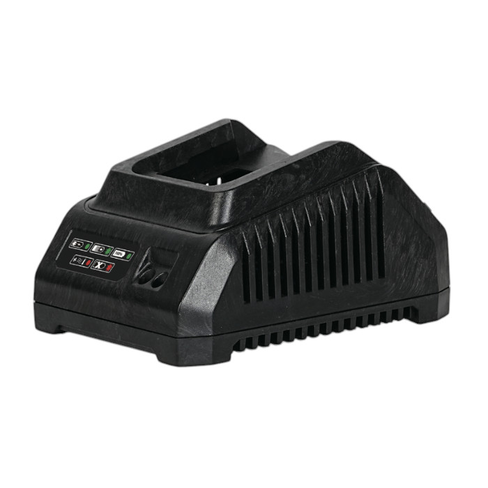 Блок питания для зарядки аккумуляторов DWT CSP202008XS 